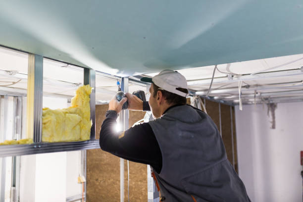 Best Attic Insulation Installation  in Castle Dale, UT